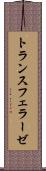 トランスフェラーゼ Scroll