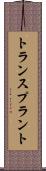 トランスプラント Scroll