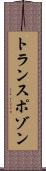 トランスポゾン Scroll