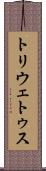 トリウェトゥス Scroll