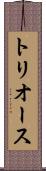 トリオース Scroll
