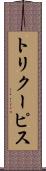 トリクーピス Scroll