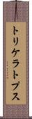 トリケラトプス Scroll