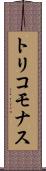 トリコモナス Scroll