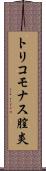 トリコモナス膣炎 Scroll