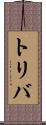 トリバ Scroll