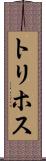トリホス Scroll