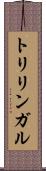 トリリンガル Scroll