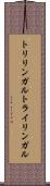 トリリンガル Scroll