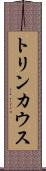 トリンカウス Scroll