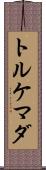 トルケマダ Scroll