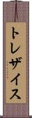 トレザイス Scroll