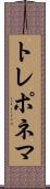 トレポネマ Scroll