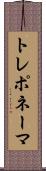 トレポネーマ Scroll