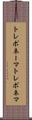 トレポネーマ Scroll