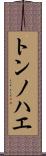 トンノハエ Scroll