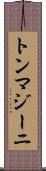 トンマジーニ Scroll