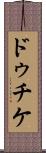 ドゥチケ Scroll