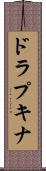 ドラプキナ Scroll