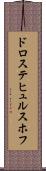 ドロステ・ヒュルスホフ Scroll