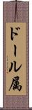 ドール属 Scroll