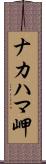 ナカハマ岬 Scroll