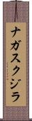 ナガスクジラ Scroll