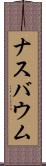 ナスバウム Scroll