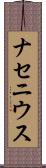 ナセニウス Scroll