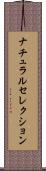 ナチュラルセレクション Scroll