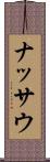 ナッサウ Scroll