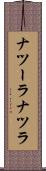 ナツーラ Scroll