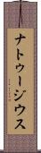 ナトゥージウス Scroll