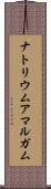 ナトリウムアマルガム Scroll