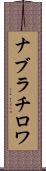 ナブラチロワ Scroll