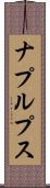 ナプルプス Scroll