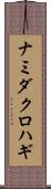 ナミダクロハギ Scroll