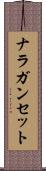 ナラガンセット Scroll