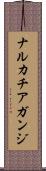 ナルカチアガンジ Scroll