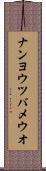 ナンヨウツバメウオ Scroll