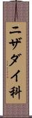 ニザダイ科 Scroll