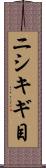ニシキギ目 Scroll