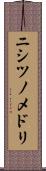 ニシツノメドリ Scroll
