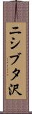ニシブタ沢 Scroll