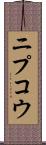 ニプコウ Scroll