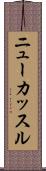 ニューカッスル Scroll