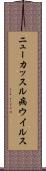 ニューカッスル病ウイルス Scroll