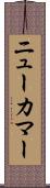 ニューカマー Scroll