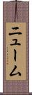 ニューム Scroll