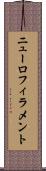 ニューロフィラメント Scroll